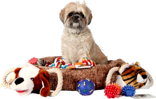 Pet Supplies